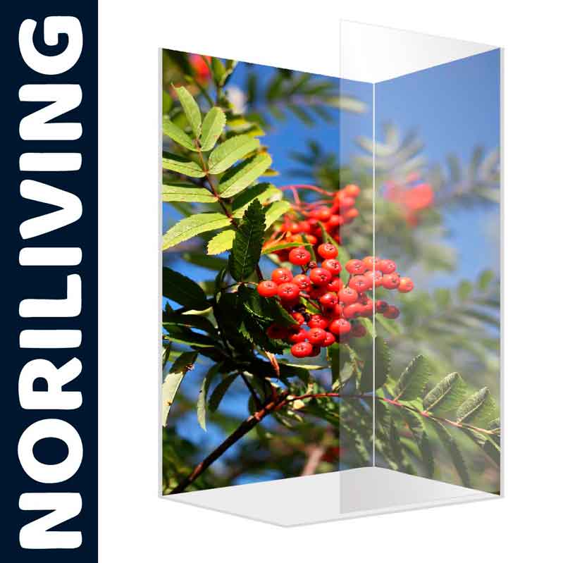 Fliesenspiegel mit Vogelbeermotiv - Noriliving Fliesenspiegel mit leuchtendem Vogelbeer-Motiv von Noriliving vor blauem Himmel