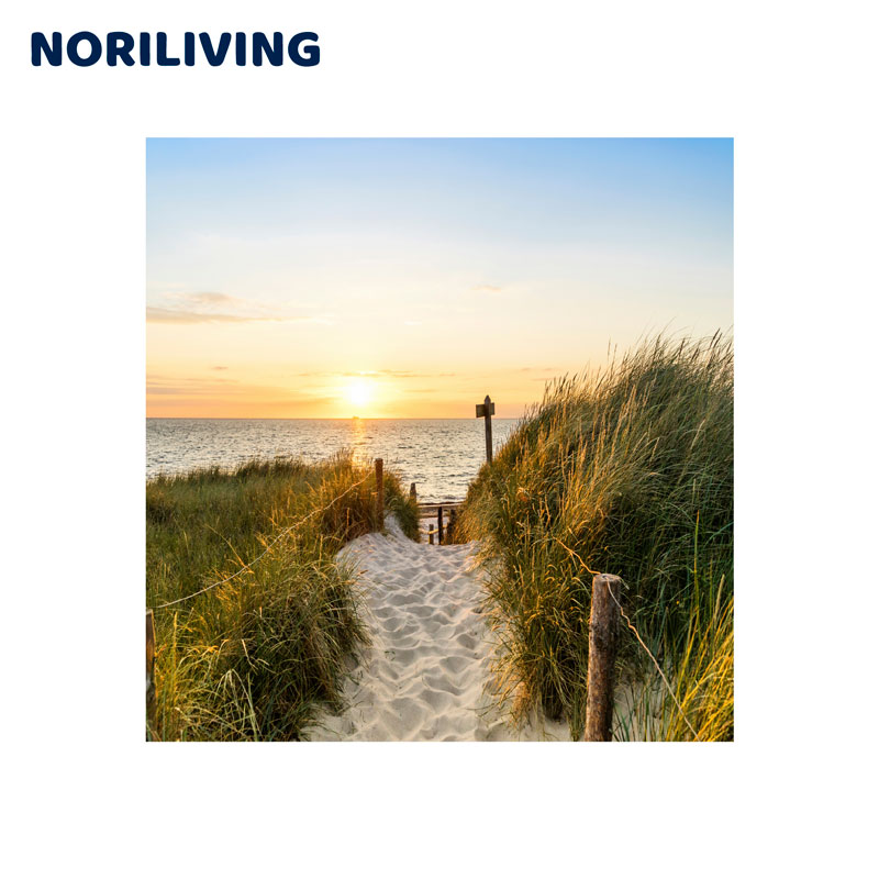 Sonnenuntergang am Strandweg mit Dünen Bild eines idyllischen Strandwegs durch Dünen im Sonnenuntergang mit Meerblick