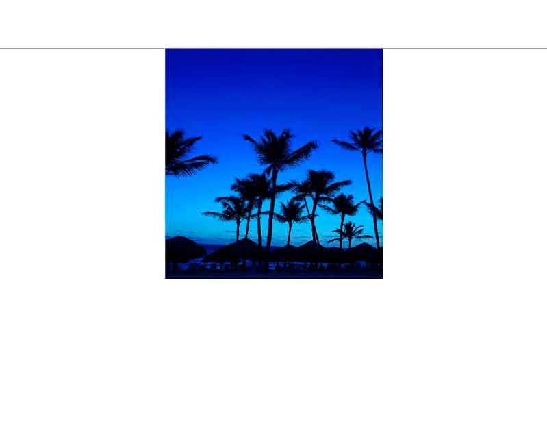 Silhouette von Palmen im Abendlicht vor einem blauen Himmel am Strand