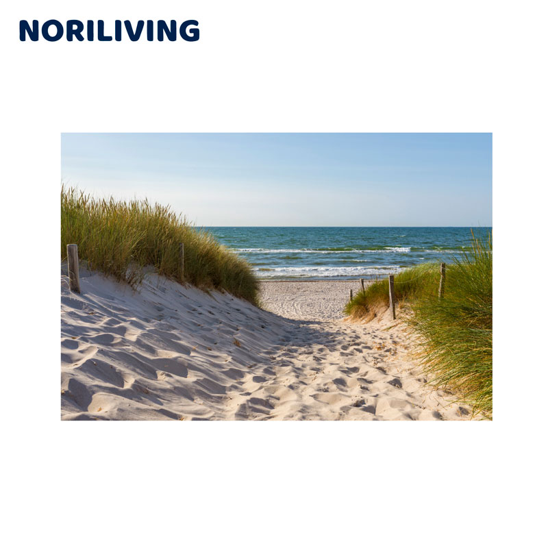 Idyllischer Strandweg mit Dünen und Meerblick Ein sandiger Weg führt durch Dünen mit Grasbewuchs zu einem ruhigen, blauen Meer unter klarem Himmel.