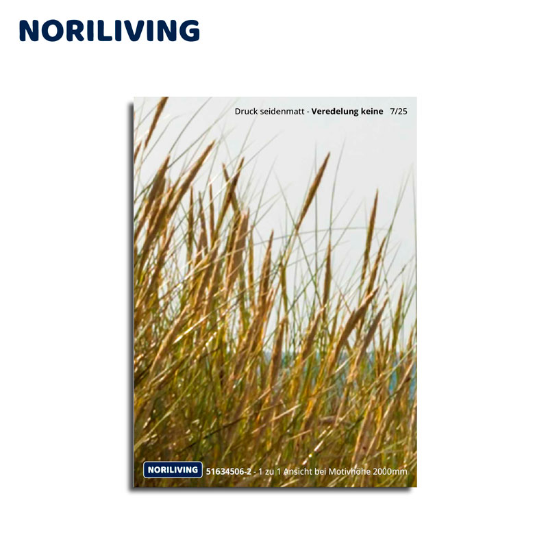 Noriliving Seidenmatt Druck mit Gräsermotiv Nahaufnahme von Gräsern auf einem seidenmatten Noriliving Druck ohne Veredelung