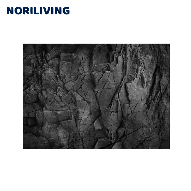 Wandbild mit schwarzer Felsstruktur von NORILIVING Dekoratives Wandbild zeigt eine detaillierte schwarze Felsstruktur, erhältlich bei NORILIVING