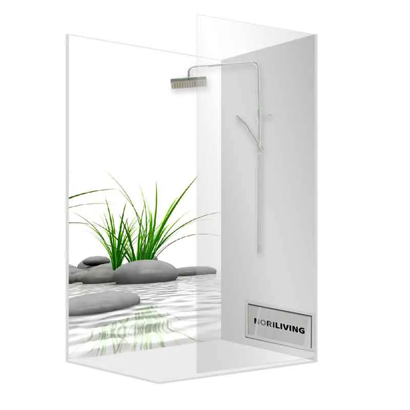 Eck-Dusche mit Glaswand, Regendusche und Pflanzen