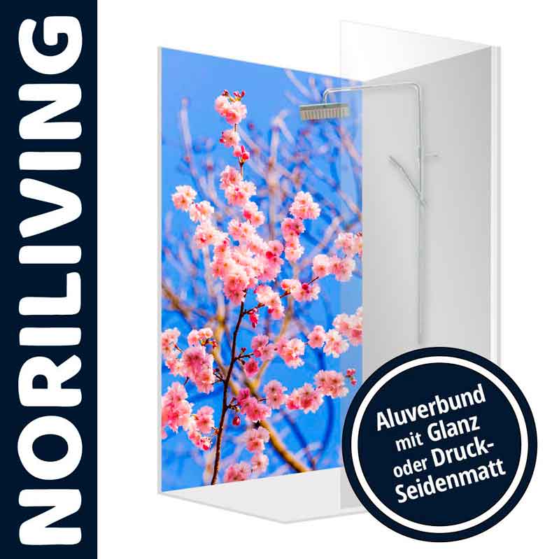 Duschwand mit Kirschblütenmotiv auf Alu-Verbund, Glänzend oder Seidenmatt Dekorative Duschwand mit Kirschblütenbild auf Alu-Verbundmaterial, erhältlich in glänzend oder seidenmatt