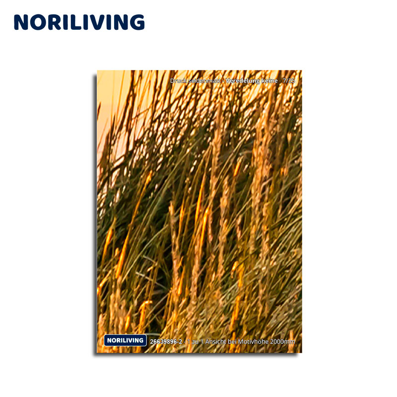 Poster mit Gräsermotiv bei Sonnenuntergang - NORILIVING Gräser im Sonnenuntergang, detailreiches Poster von NORILIVING