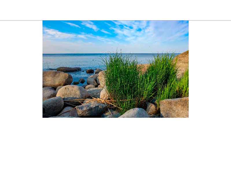 Steinige Küstenlandschaft mit Meer und Gras unter blauem Himmel Steine und üppiges Gras am Ufer des Meeres mit blauem Himmel im Hintergrund