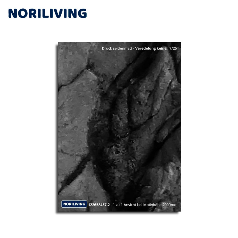 Dekorative Wandverkleidung von Noriliving in seidenmatter Ausführung Nahaufnahme einer dekorativen Wandverkleidung von Noriliving, seidenmatt bedruckt, ohne Veredelung.
