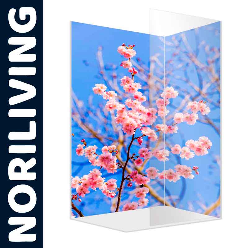 Duschwand mit Kirschblüten-Motiv vor blauem Himmel Klare Duschwand mit Blüten von Kirschbäumen und blauem Himmel, Marke Noriliving