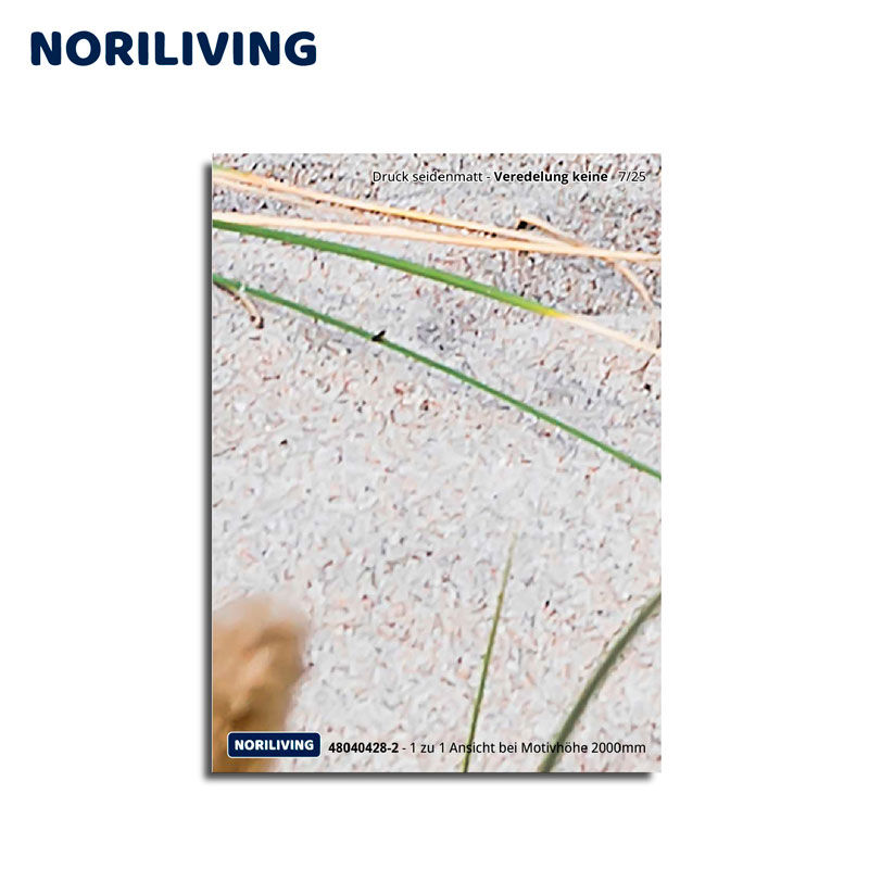 Noriliving Poster mit Gras und Sand Nahaufnahme eines Noriliving Posters mit Gras und Sandstruktur, seidenmatt bedruckt, ohne zusätzliche Veredelung.