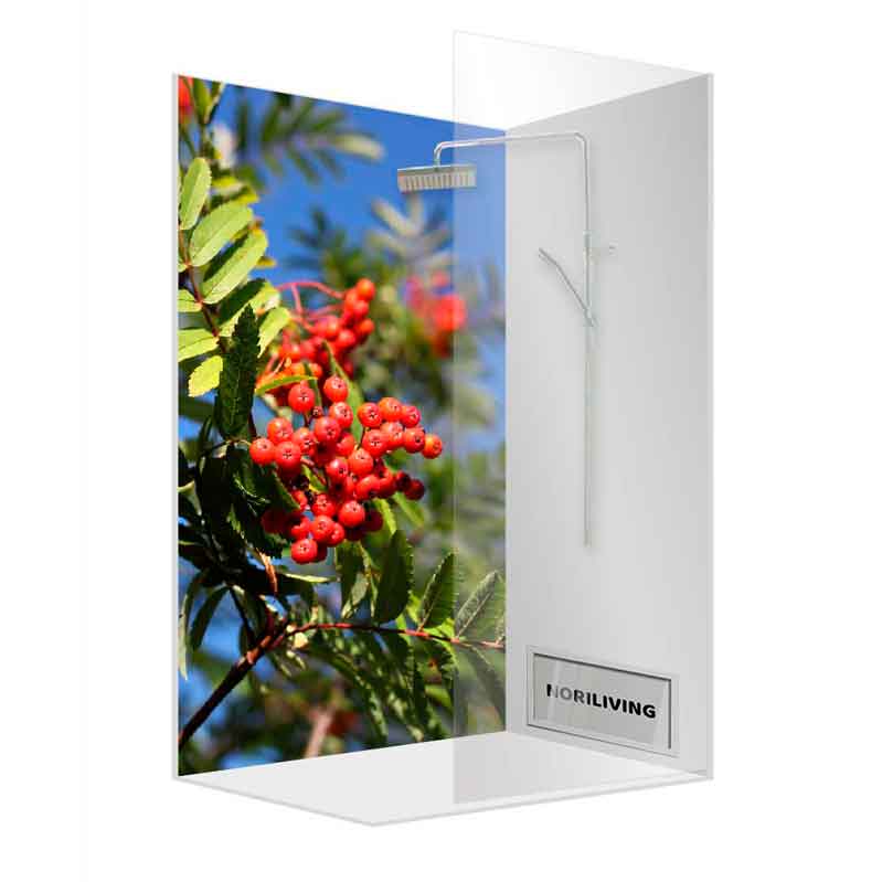 Moderne Duschwand mit Fotodruck von roten Beeren und grünem Laub Duschwand mit Naturmotiv von roten Beeren und grünem Laub auf einer gläsernen Oberfläche