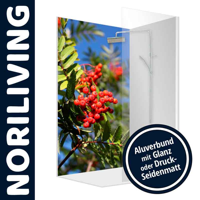 Duschrückwand mit Vogelbeermotiv von Noriliving Dekorative Duschrückwand mit leuchtend roten Vogelbeeren und grünem Laub auf Alubund, erhältlich in Glanz oder Druck-Seidenmatt.