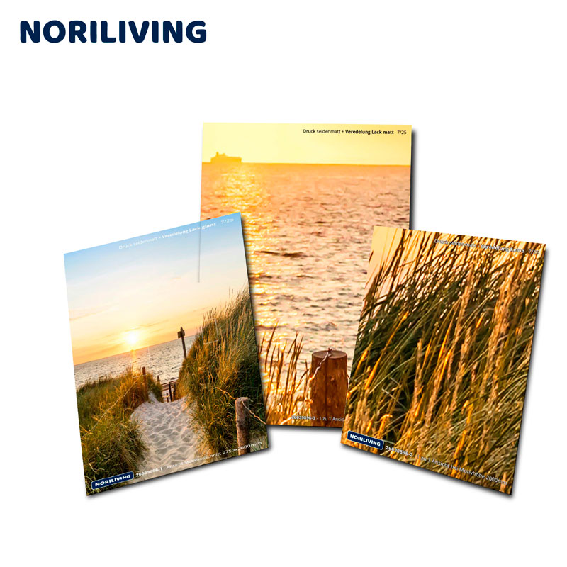 Noriliving Wandbilder Set - Strand, Sonnenuntergang, Natur Set aus drei Noriliving Wandbildern mit Strandmotiv, Sonnenuntergang und Gras im Wind