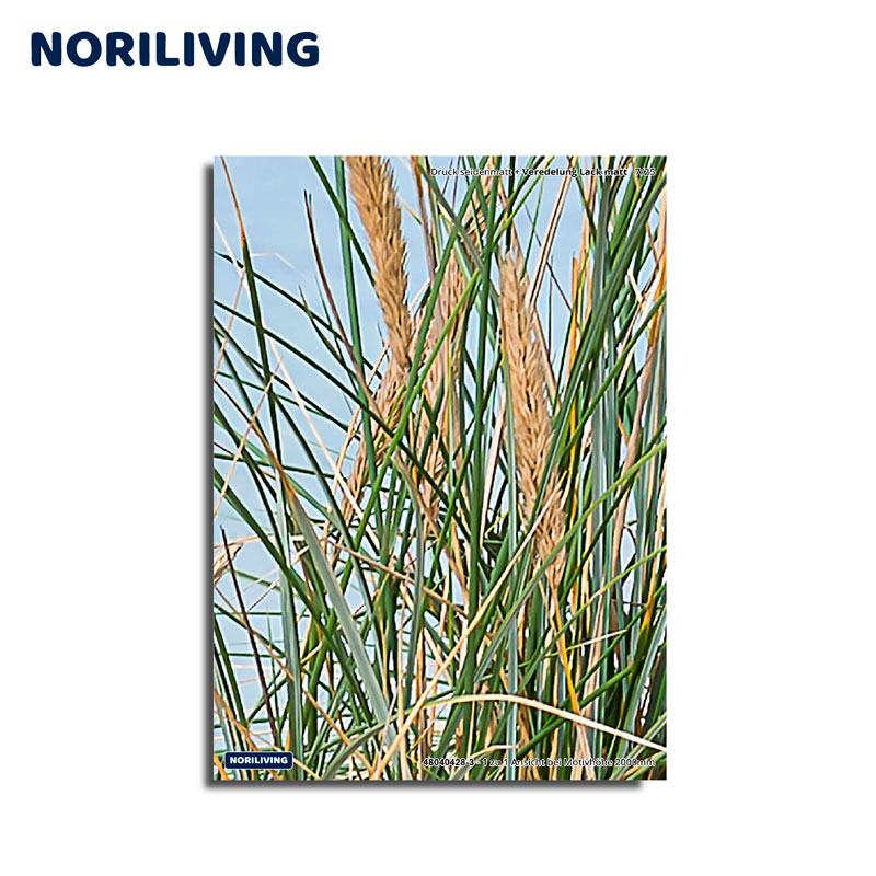 Noriliving Wandbild mit Grasmotiv, 40x50 cm Ein Wandbild von Noriliving, das grünes Gras und Ähren gegen einen blauen Himmel zeigt, Größe 40x50 cm