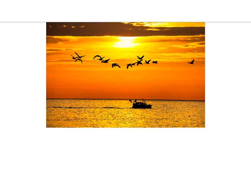 Abendlicher Sonnenuntergang über dem Meer mit fliegenden Vögeln und einem Boot Ein Boot fährt auf dem Meer bei Sonnenuntergang, während Vögel am orangefarbenen Himmel fliegen.